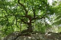 2018-05-24 14-40-36  Rando Fontainebleau DLe